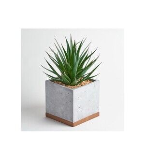 8 Inch Artificial Succulents in Pots, Artificial Plant Decor, Faux  Sword Grass